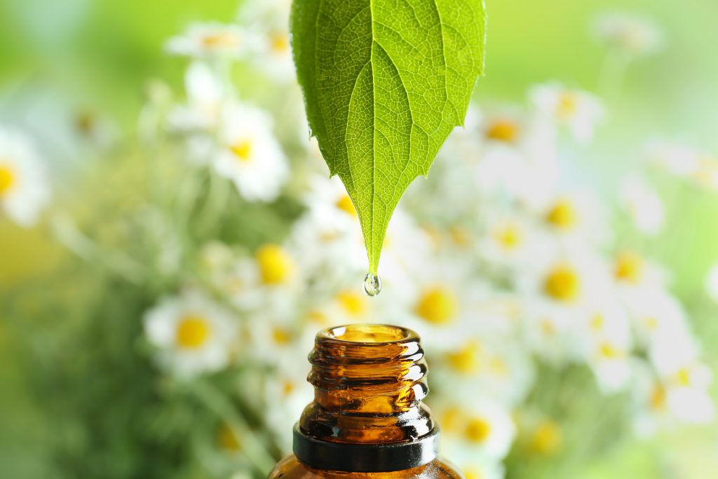 A green leaf dripping a drop of essential oil into an amber glass bottle, with soft white flowers blurred in the background.