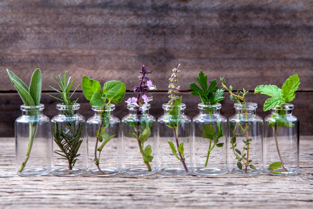 Assorted fresh herbs growing in small glass bottles on a wooden surface.